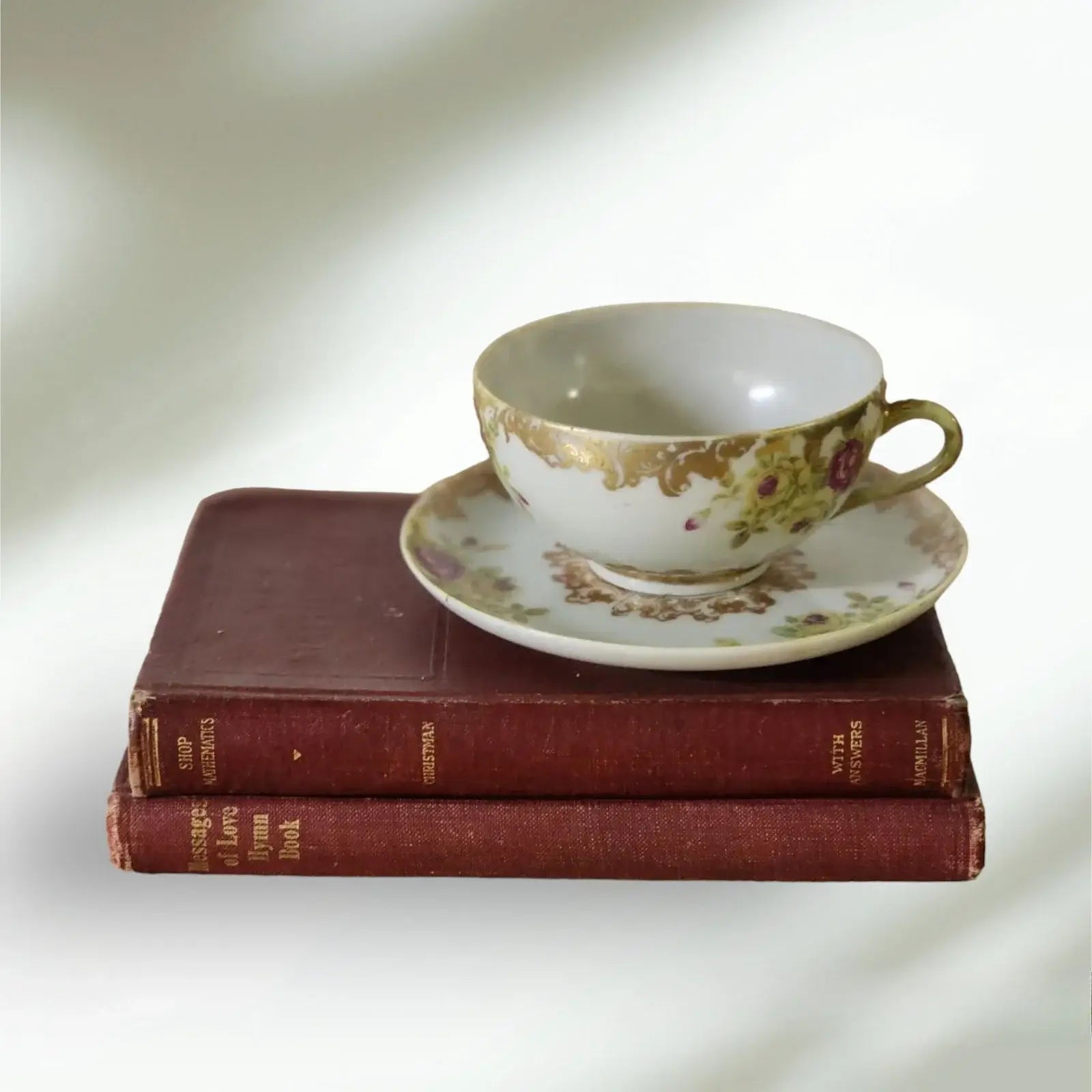 Cup and saucer on two books, creating a cozy reading nook.