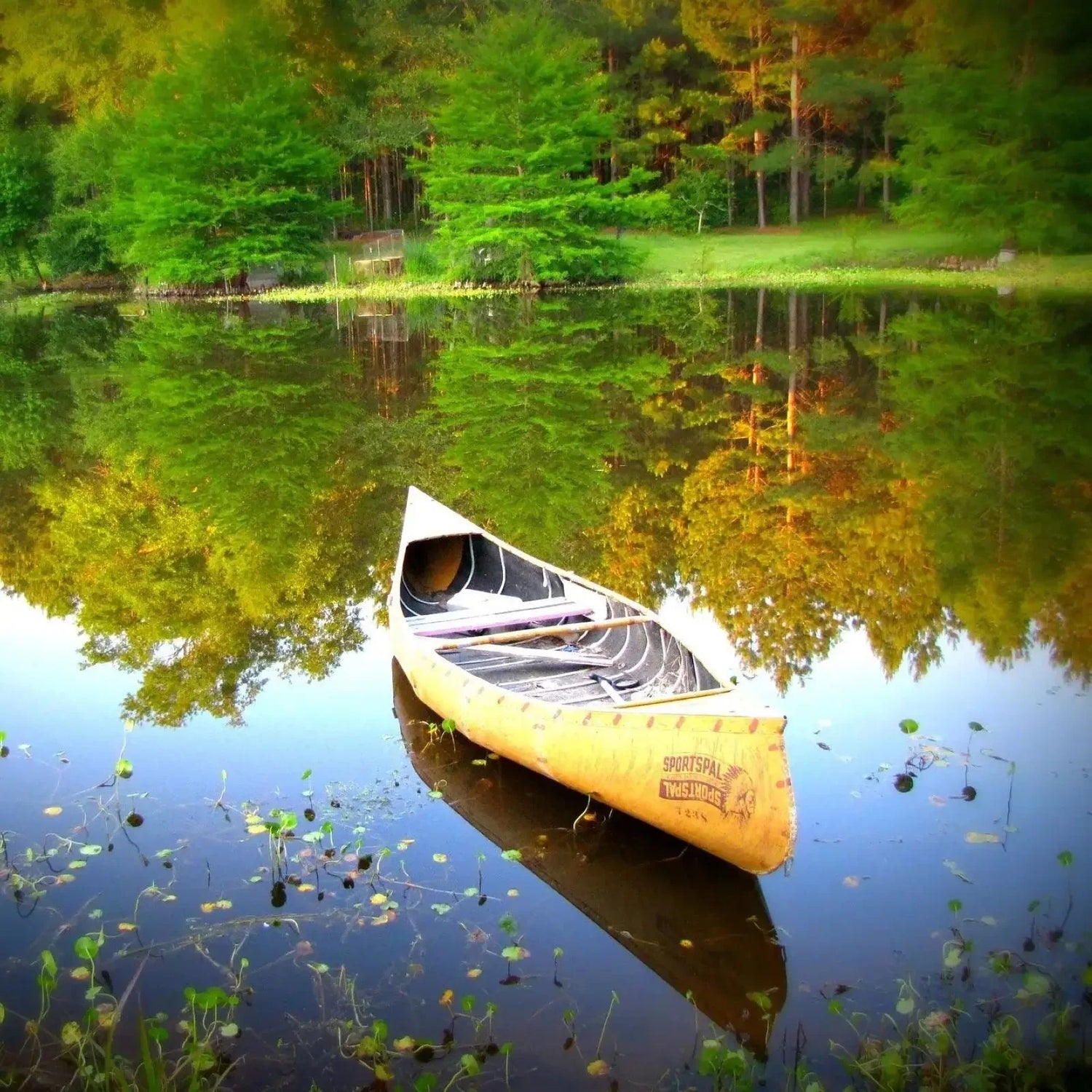 A serene lake scene featuring a canoe gently resting on the calm water's surface.