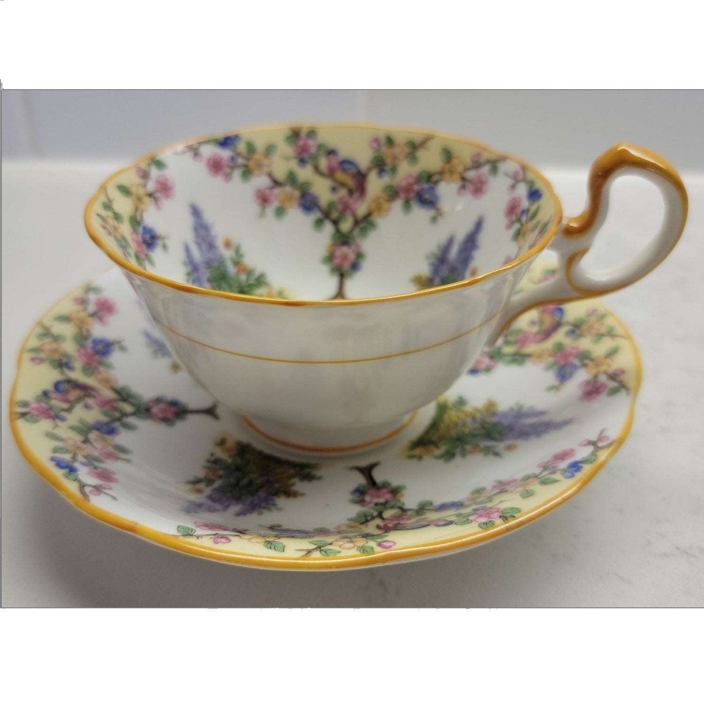 Aynsley Bird and Lupin Vintage Tea Cup and Saucer Set