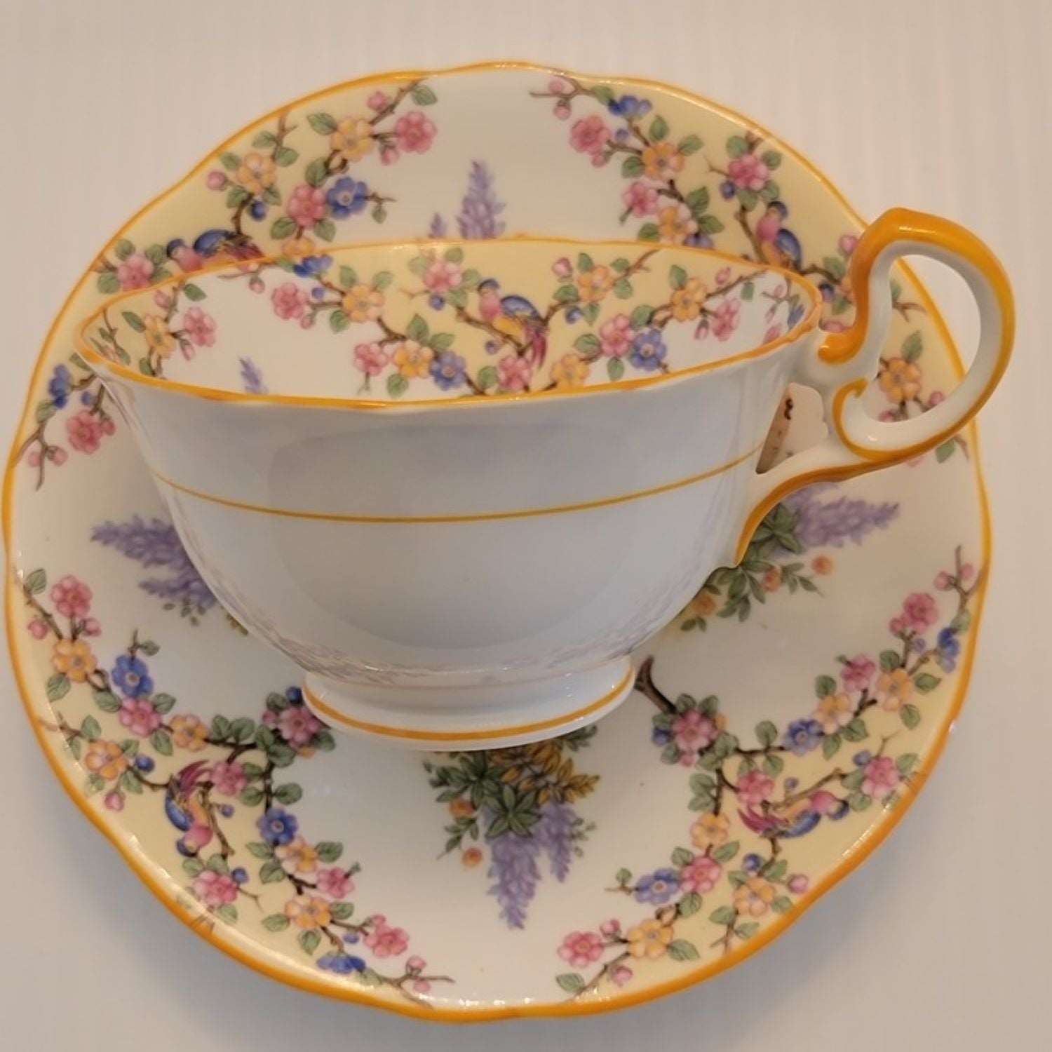 Aynsley Bird and Lupin Vintage Tea Cup and Saucer Set