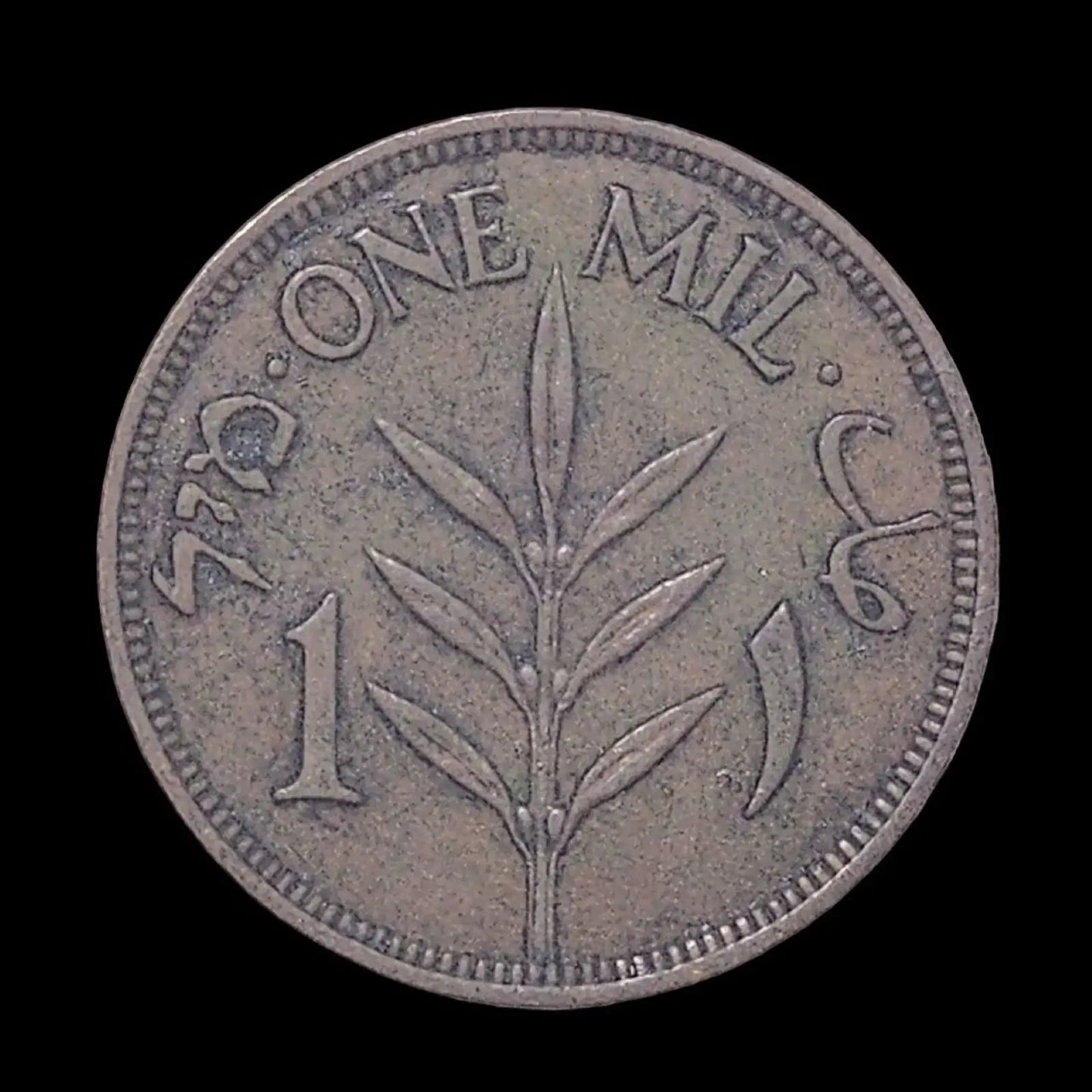 Palestine 1939 British Mandate One MIL Coin, Olive Tree Branch Bronze - Mulberry Lane . Rustic Wall Art Collectible Currency