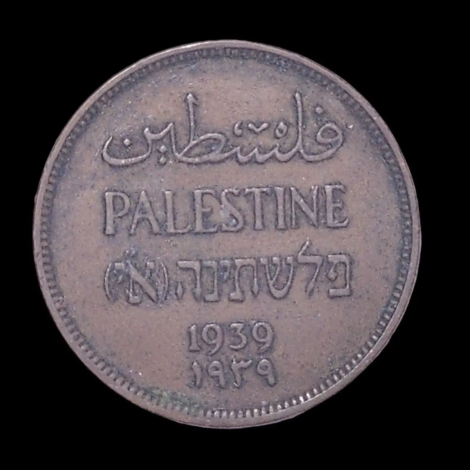 Palestine 1939 British Mandate One MIL Coin, Olive Tree Branch Bronze - Mulberry Lane . Rustic Wall Art Collectible Currency