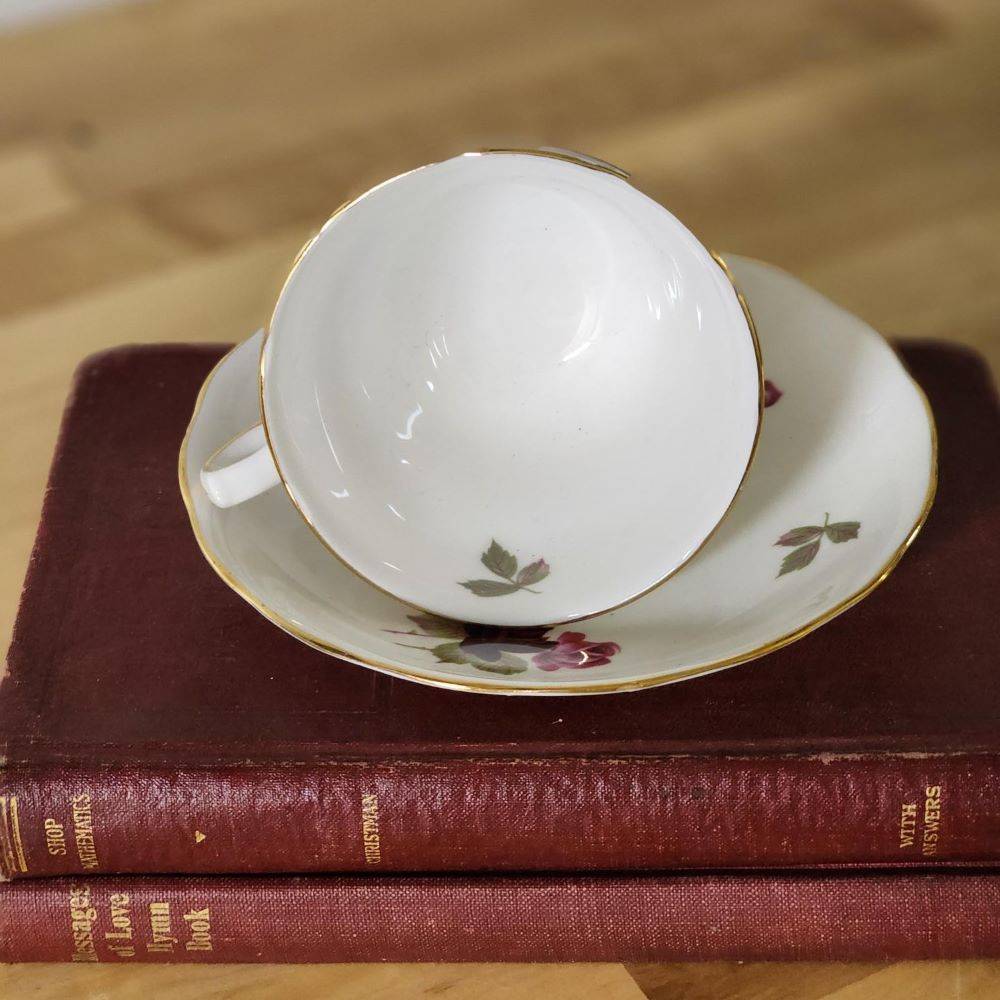 A teacup with dark red roses placed on top of books.